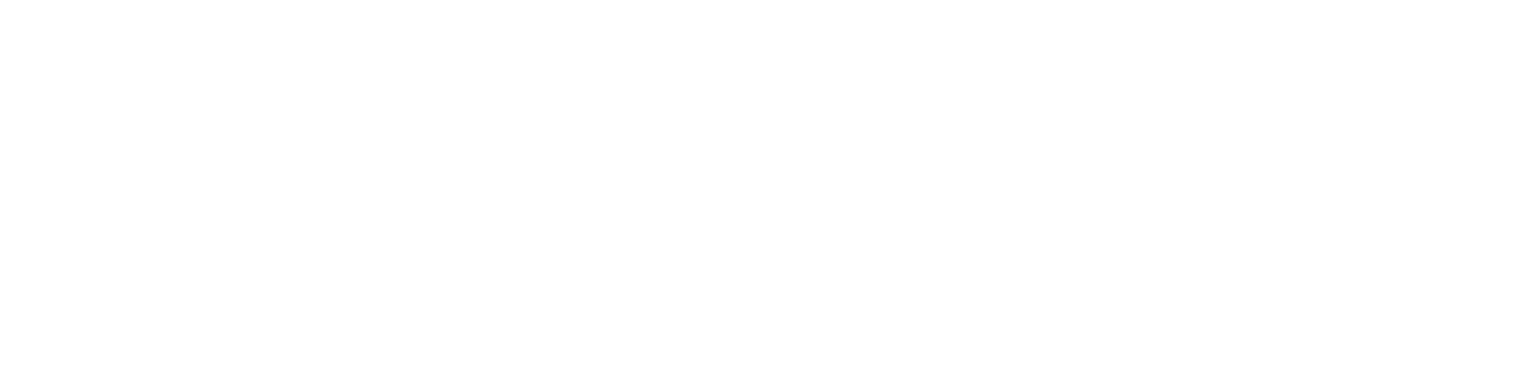 Nomad Service